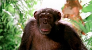 PANASONIC 'Chimp'